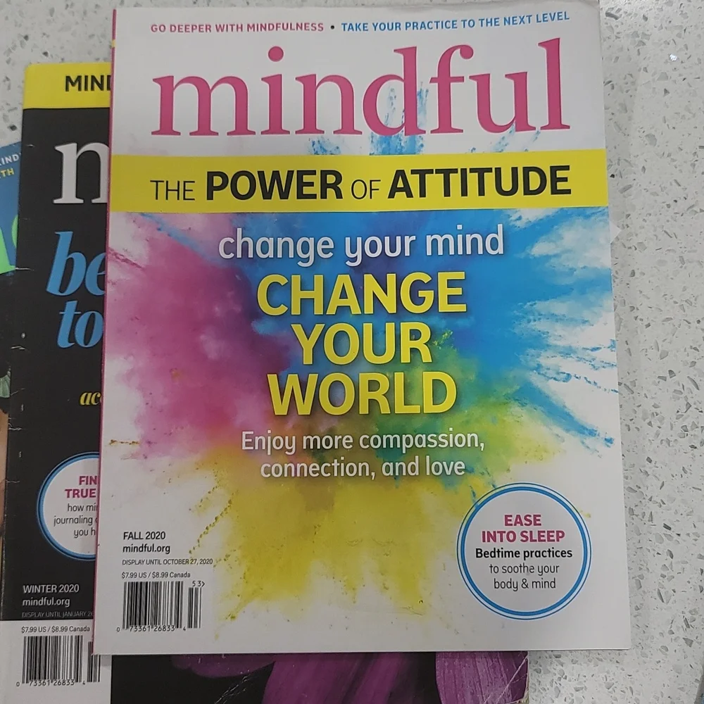 Mindful Magazines - Picture 4 of 5
